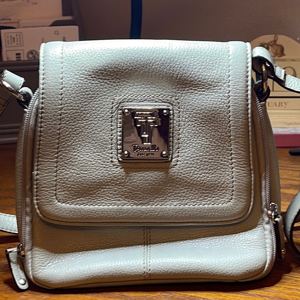Tignanello crossbody sage green